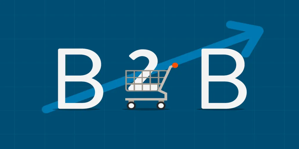 Factors To Consider When Choosing a B2b eCommerce Platform