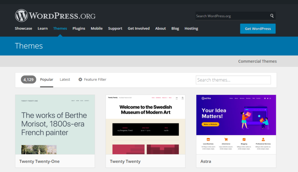 wordpress theme