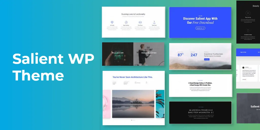 Salient WordPress Theme