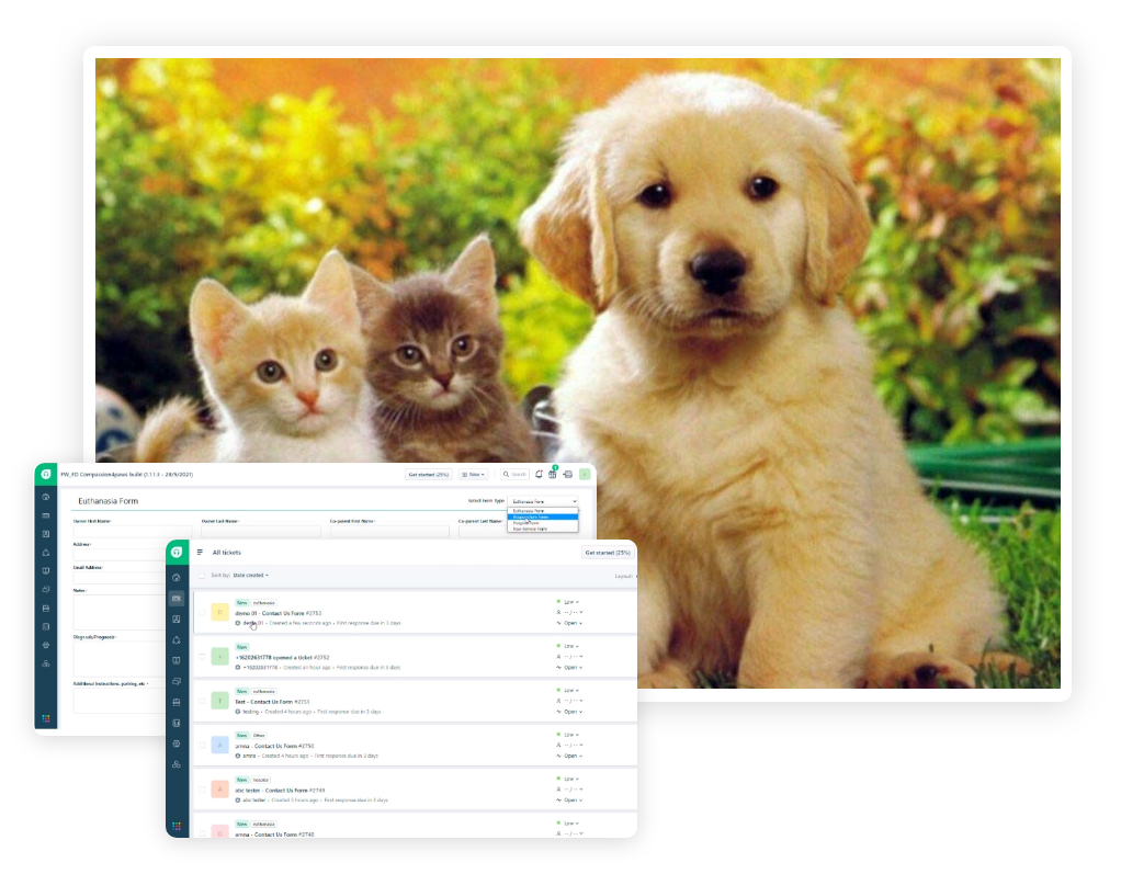 API Integration 