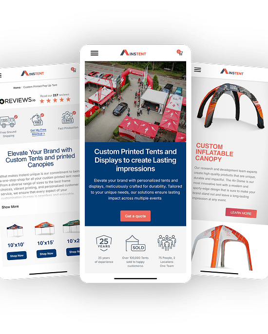 B2B Ecommerce Development